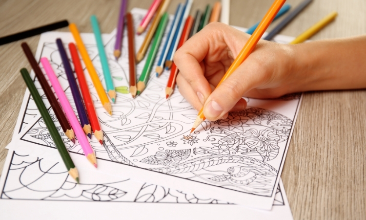 Adult Coloring, Part of the 2026 MCCS Summer Reading Program: Plant A Seed, Read