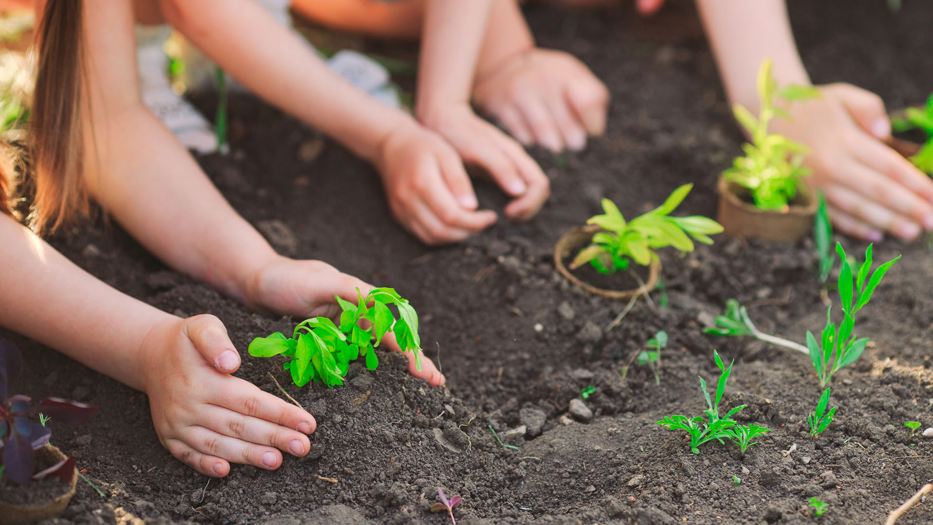Youth Fitness (Ages 5-6)