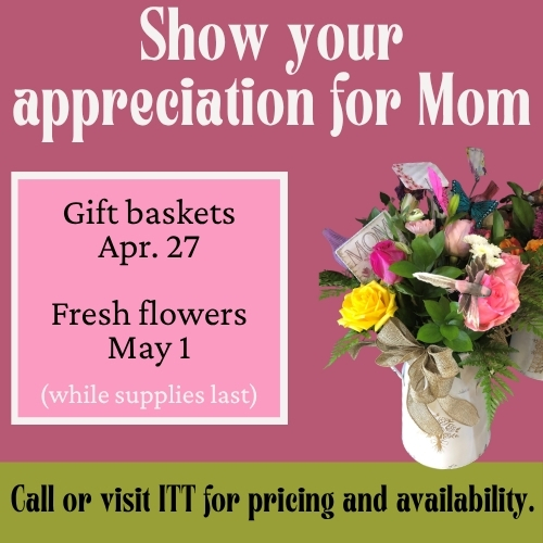 050126-srv-itt-mothersdayfloweresandgiftbaskets-mobile.jpg