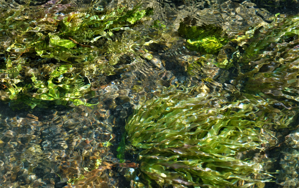 Youth Fitness (Ages 5-6)