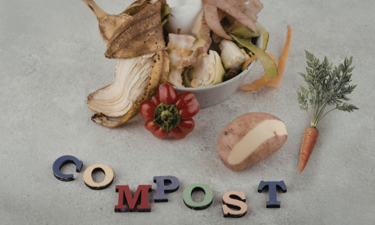Compost Jars, Part of the 2026 MCCS Summer Reading Program: Plant A Seed, Read