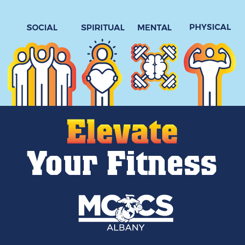 013125-content-strategy-elevate-fitness-mobile-albany.jpg