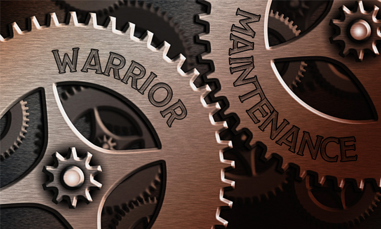 Warrior Maintenance: Stress Management for Service Members and Their Families