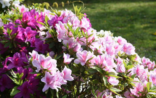 Youth Fitness (Ages 5-6)