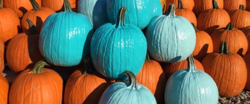 Why You May Be Seeing Teal Pumpkins This Halloween